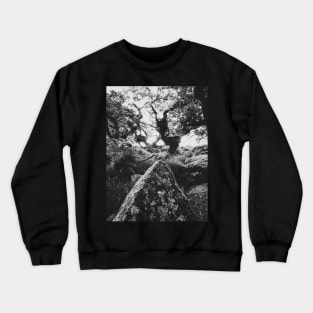 Whistman's Wood in Black and White Crewneck Sweatshirt